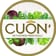 CUON Vietnamese Fresh Rolls